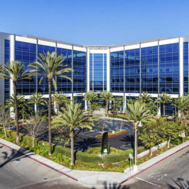 Office Contractors