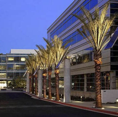 Office Contractors