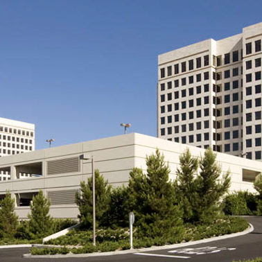 Office Contractors